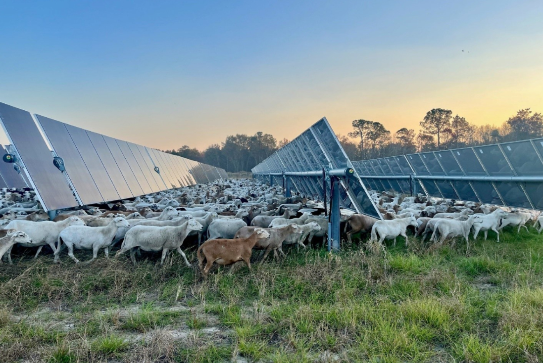USDA DOE Solar Energy and Farming Initiatives Devries