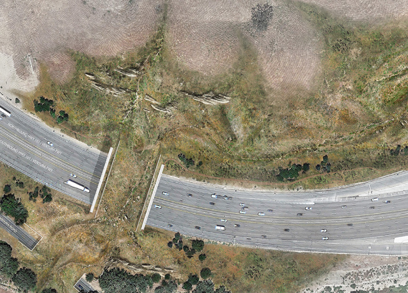 completed wildlife crossing rendering national wildlfe foundation