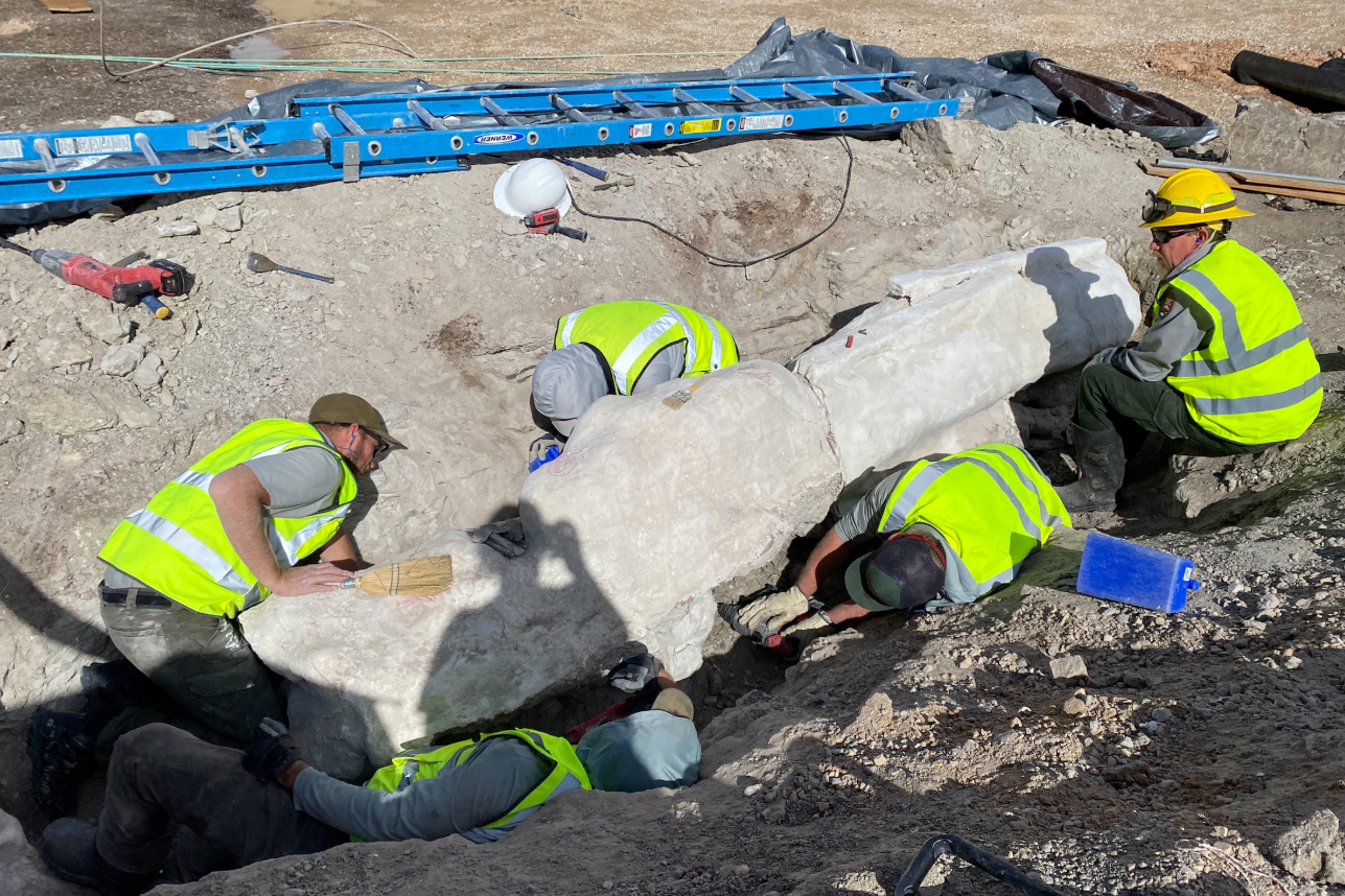 crews work to remove a dinosaur fossil at utahs dinosaur national park in this National Park Service 2025 image