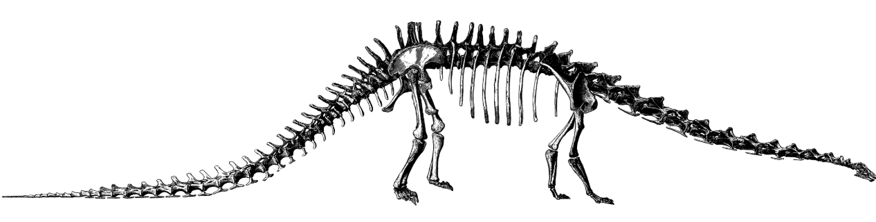 john bell hatcher 1901 public domain dinosaur