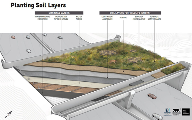 planting soil layers wildlife crossing gov ofc california